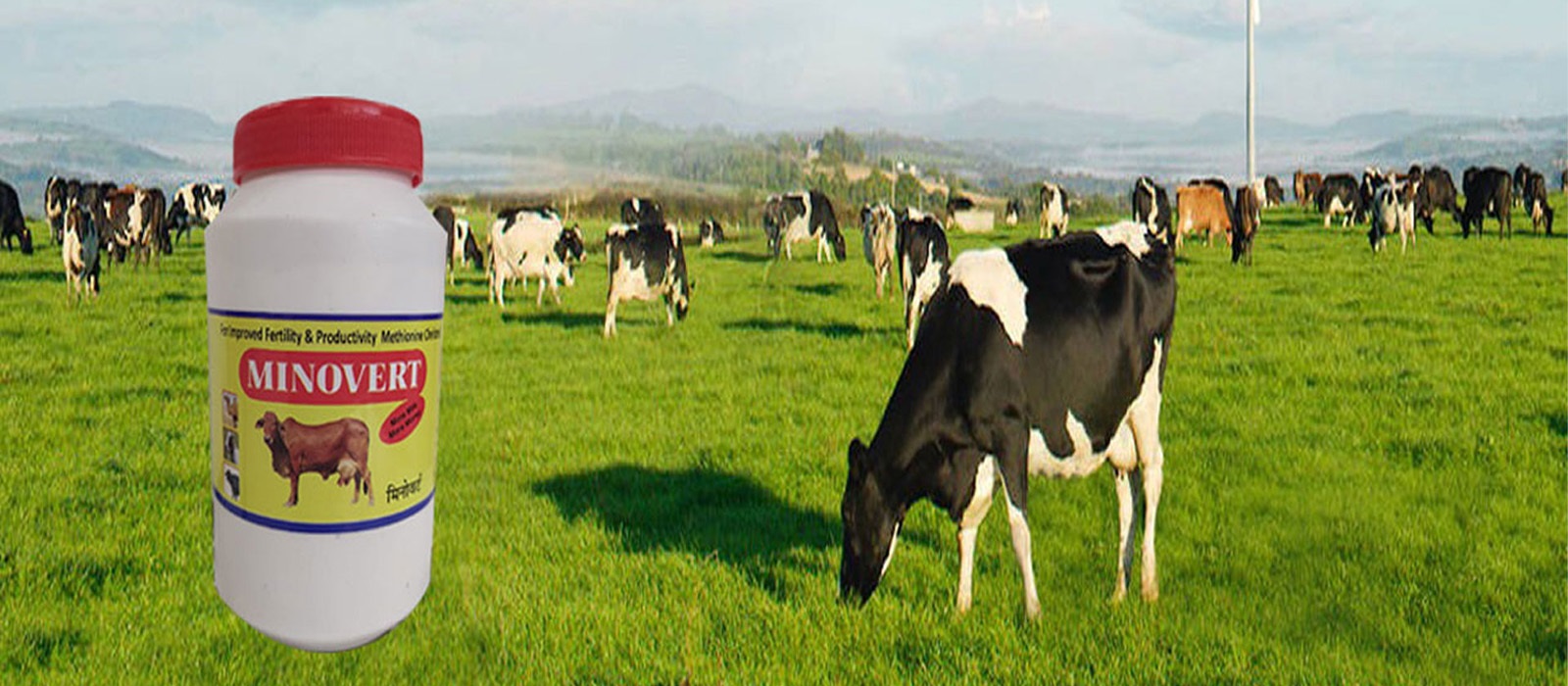 tanyamed-slider-1-new