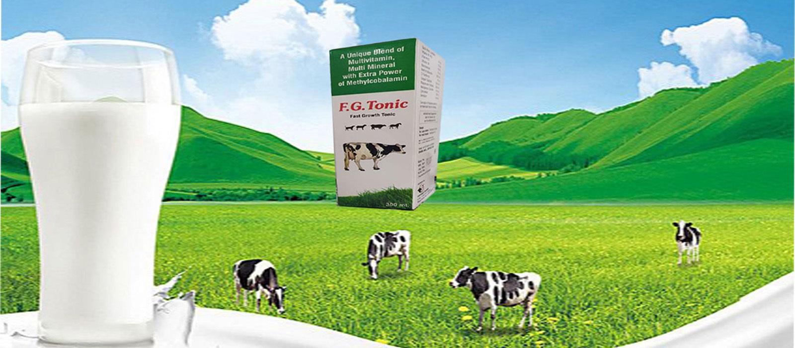 tanyamed-slider-2-new