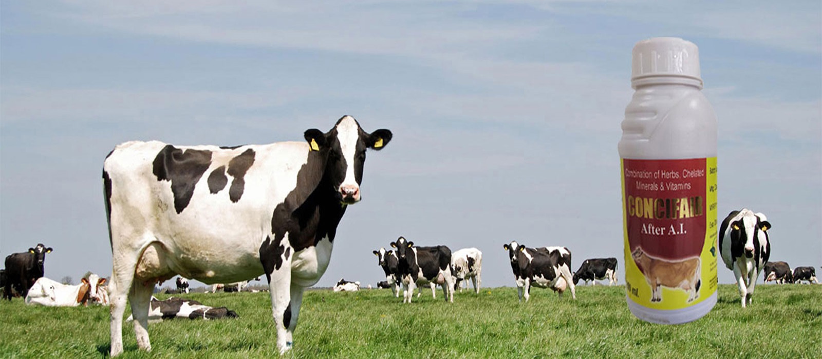 tanyamed-slider-3-new